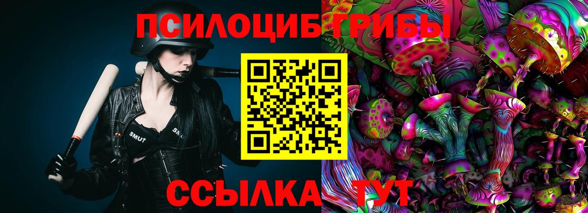 Луга  Псилоцибиновые грибы Psilocybine cubensis  Вход с VPN 